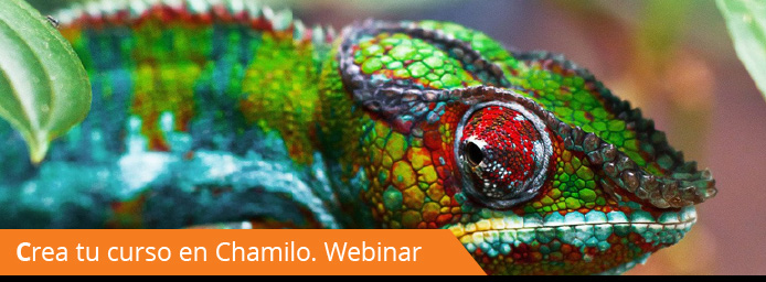 Webinar: cómo crear tu curso en Chamilo LMS